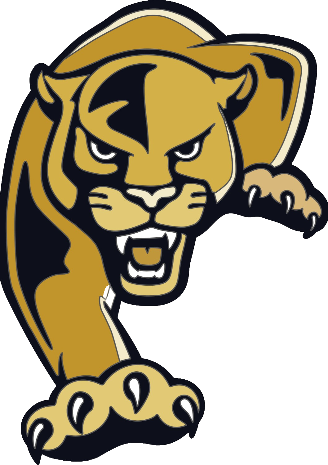  Gold and black approaching panther